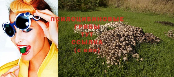 apvp Абдулино