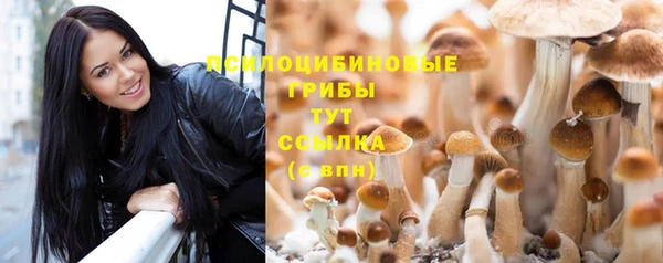 трава Абаза
