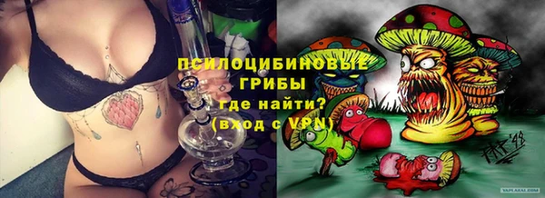 трава Абаза