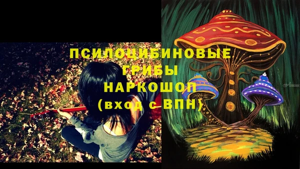 apvp Абдулино