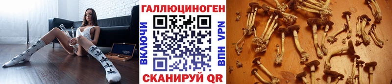 Галлюциногенные грибы ЛСД  Юрга 