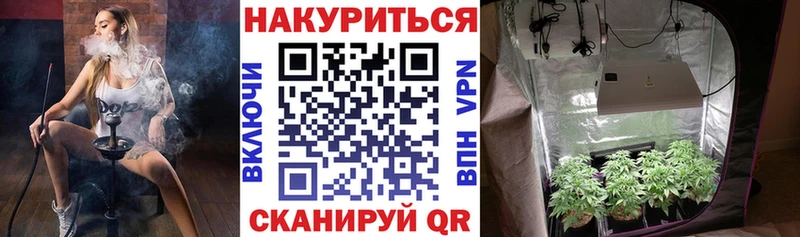 Бошки Шишки конопля  мориарти наркотические препараты  Юрга 
